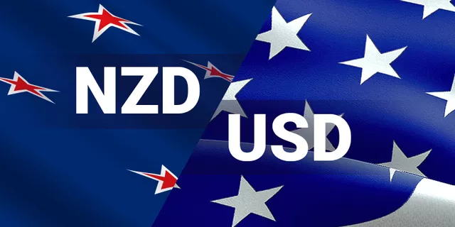 NZD/USD took a break