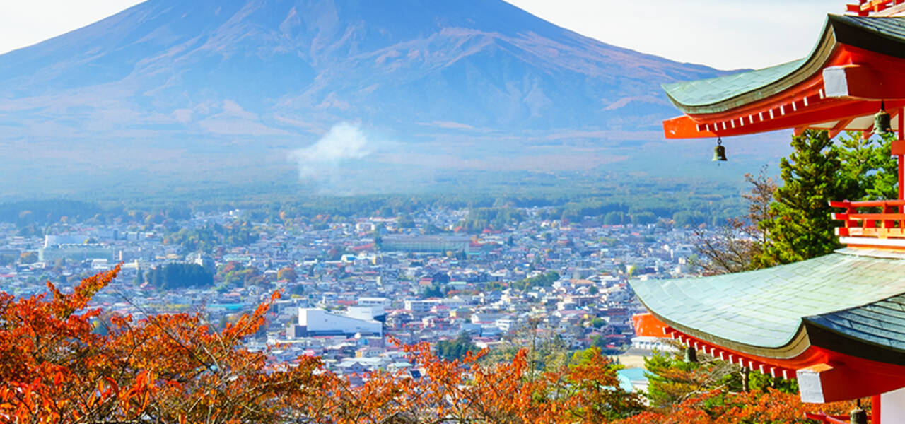 USD/JPY: the Dollar reached 111.50